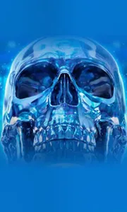 Crystal Skull